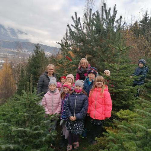 Ein Christbaum für die Volksschule