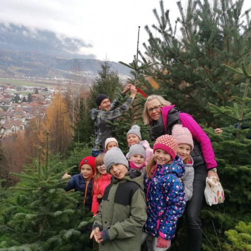 Ein Christbaum für die Volksschule
