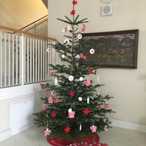 Ein Christbaum für die Volksschule