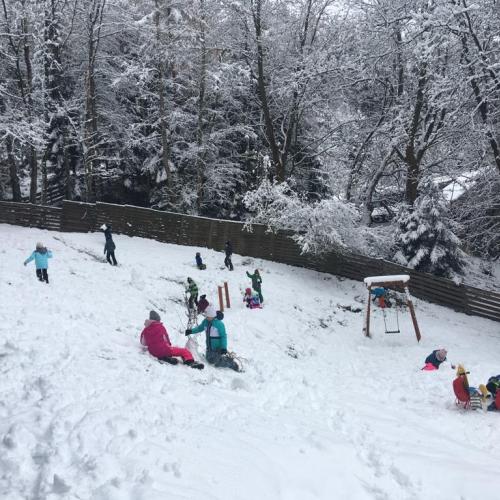 Winter 3a