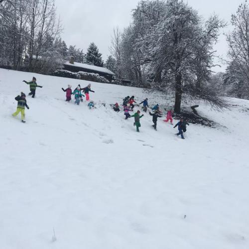 Winter 3a