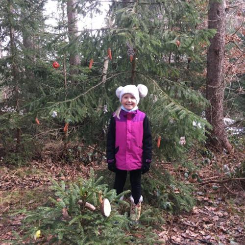 Waldweihnacht