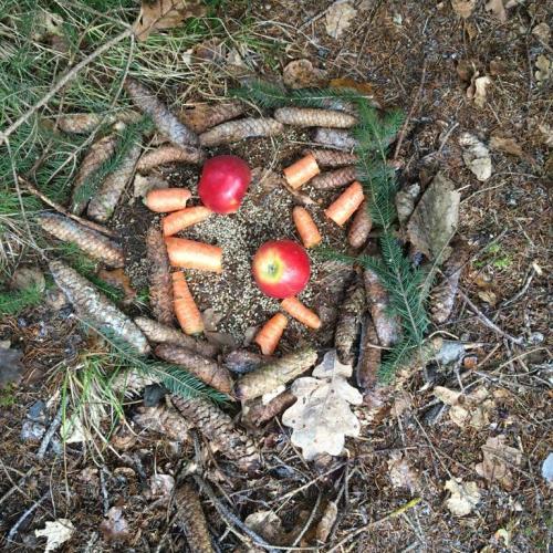 Waldweihnacht