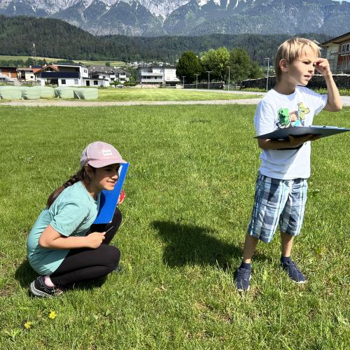 Auf der Blumenwiese