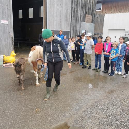 Reiten