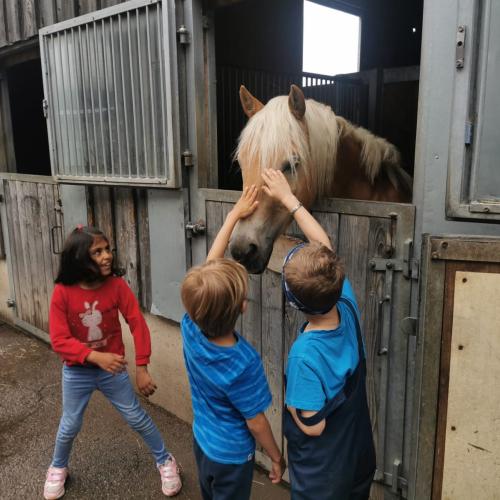 Reiten