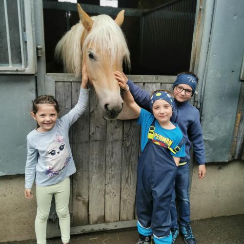 Reiten