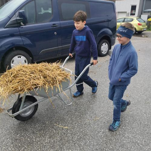 Reiten
