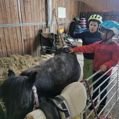 Reiten