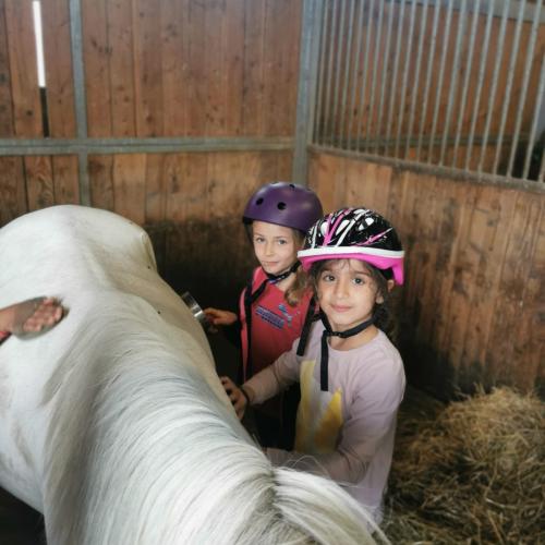 Reiten