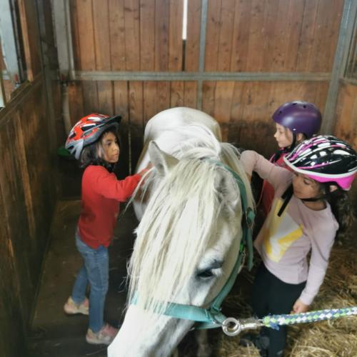 Reiten