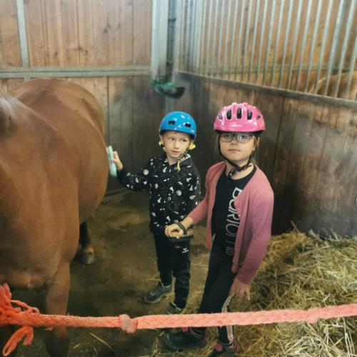 Reiten