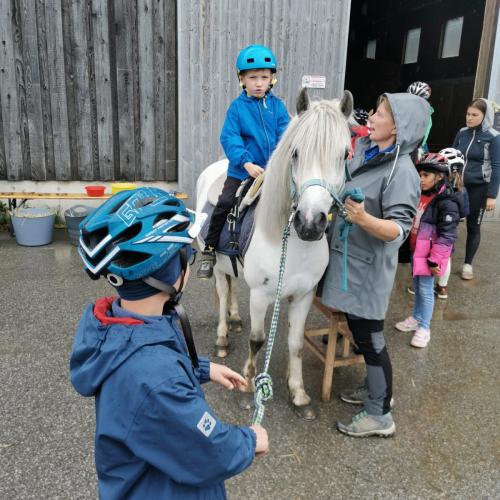 Reiten