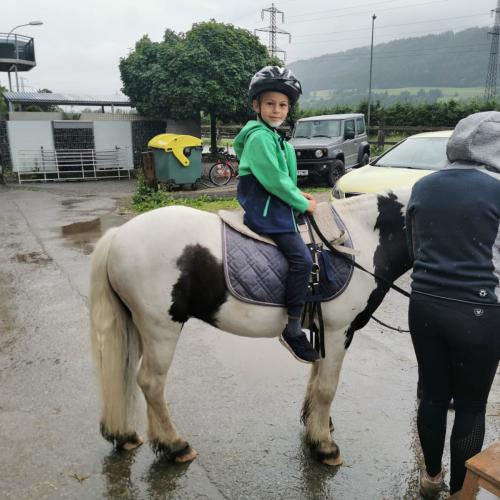 Reiten