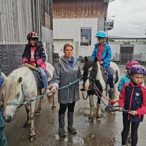 Reiten