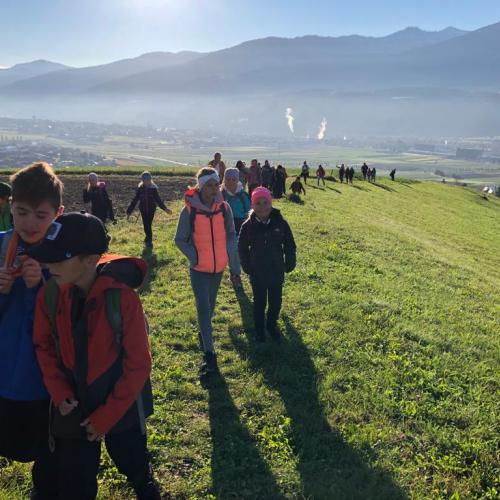 Wandertag 4ab