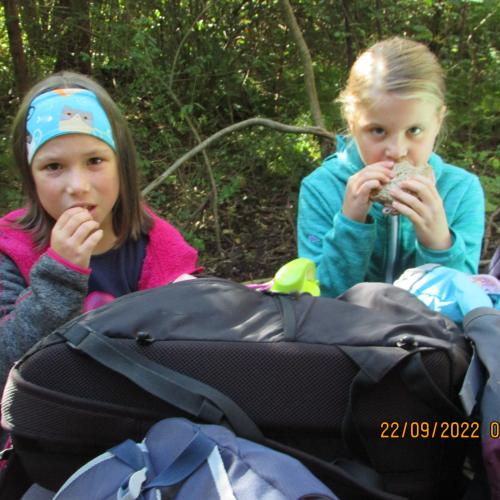 Wandertag 4ab