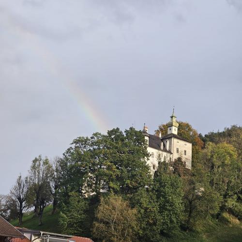 Sternenkinder