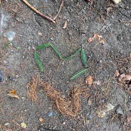 Wald