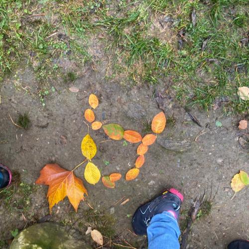 Wald