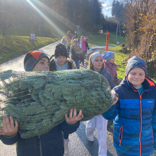 Christbaum