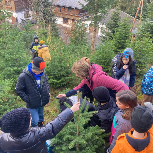 Christbaum