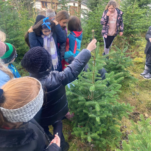 Christbaum