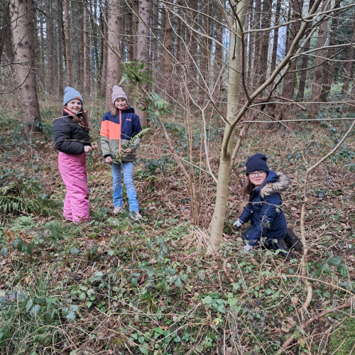 Waldweihnacht