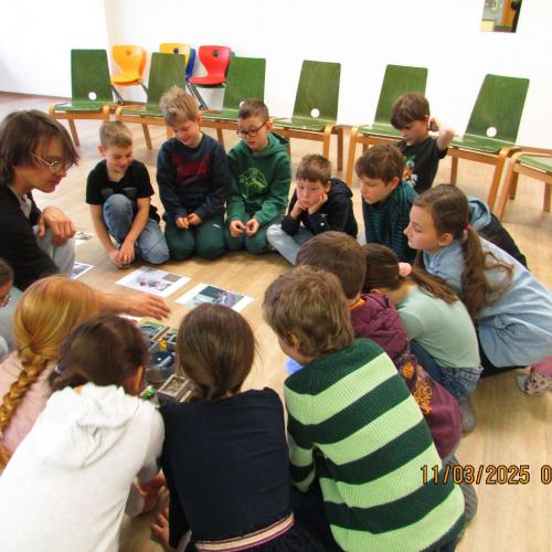 Umweltbildungsprogramm zum Thema Wasser