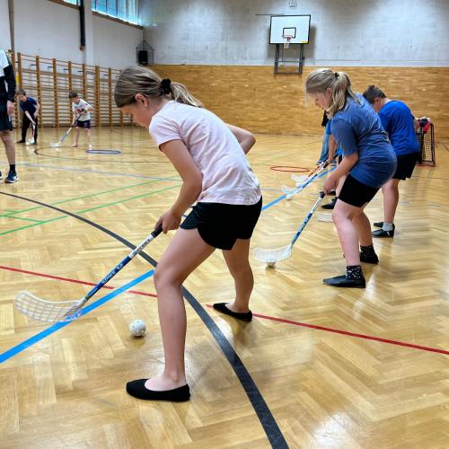 Floorball