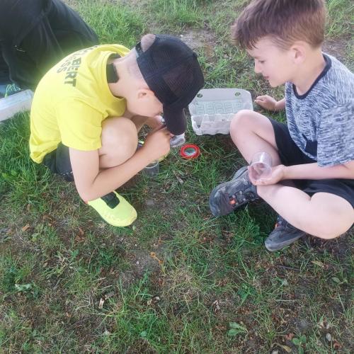 Entdeckungen auf der Wiese