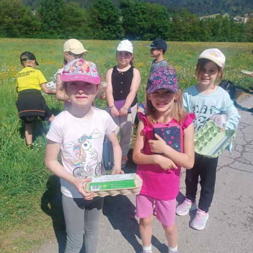 Entdeckungen auf der Wiese
