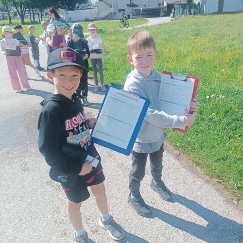 Entdeckungen auf der Wiese