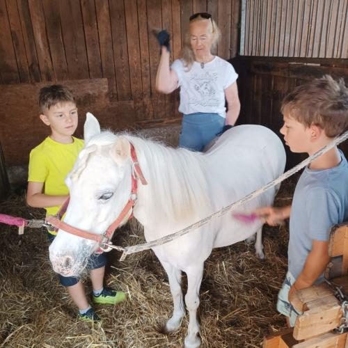 Reitsportzentrum Volders