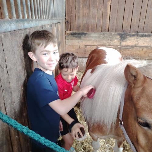 Reitsportzentrum Volders