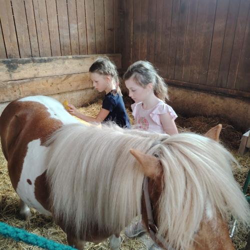 Reitsportzentrum Volders