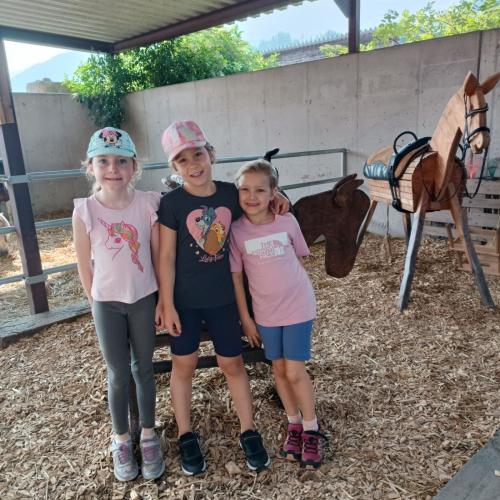 Reitsportzentrum Volders