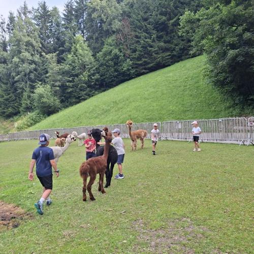 Zu Besuch am Nesseltalhof