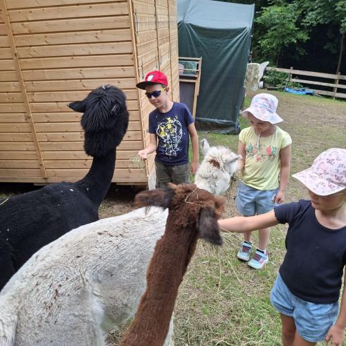 Zu Besuch am Nesseltalhof
