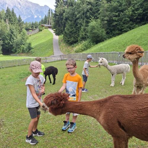 Zu Besuch am Nesseltalhof