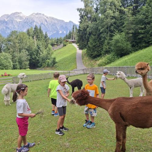 Zu Besuch am Nesseltalhof