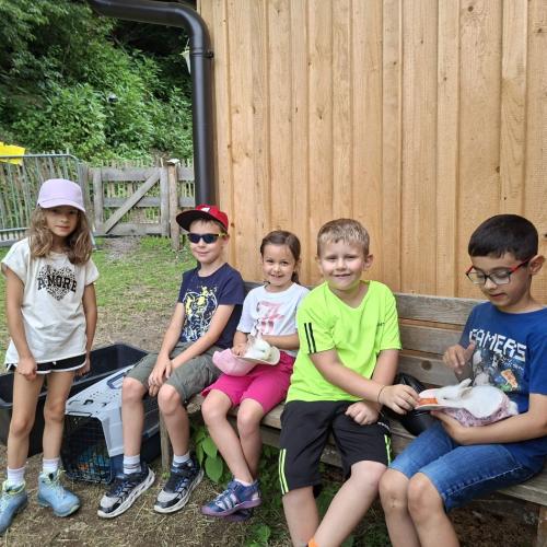 Zu Besuch am Nesseltalhof