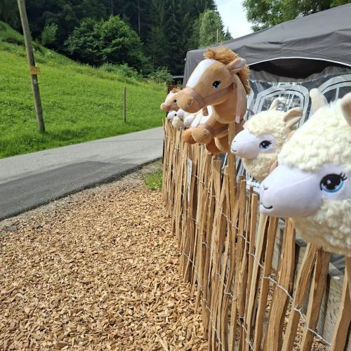 Zu Besuch am Nesseltalhof