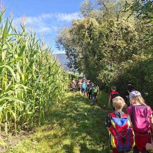 Wandertag Guggerinsel