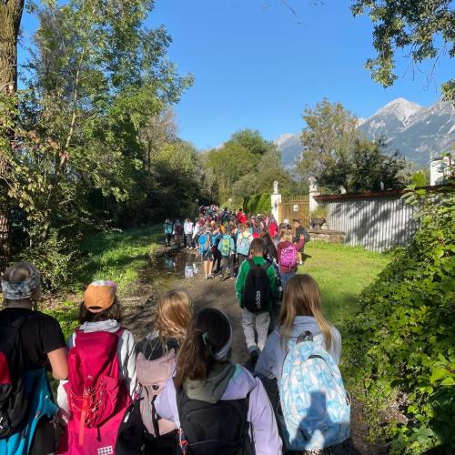 Wandertag Guggerinsel
