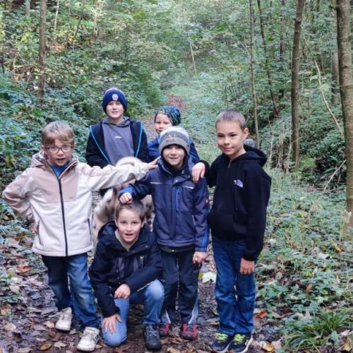 Im Herbstwald