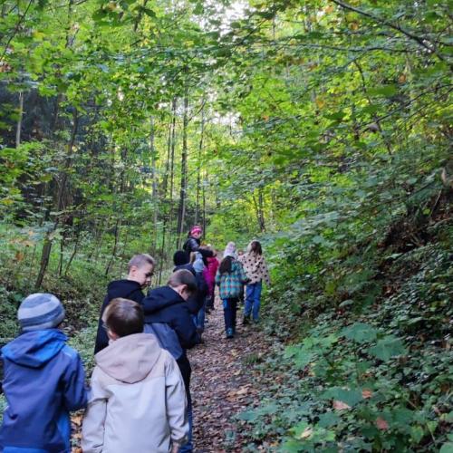 Im Herbstwald