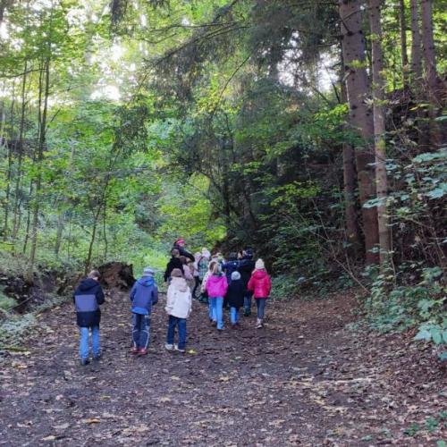 Im Herbstwald