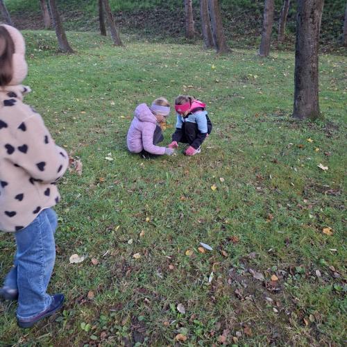 Im Herbstwald