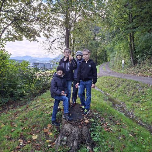 Im Herbstwald